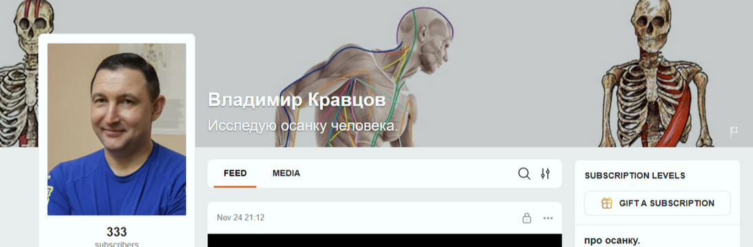 [Владимир Кравцов] Видеокурс по исправлению осанки_0.png